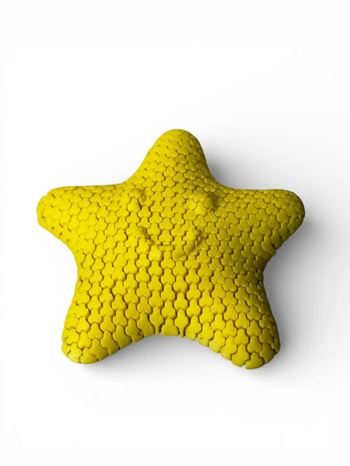 Articulated Flexi Starfish Fidget Driftwood 3D Printworks Flexi Toy