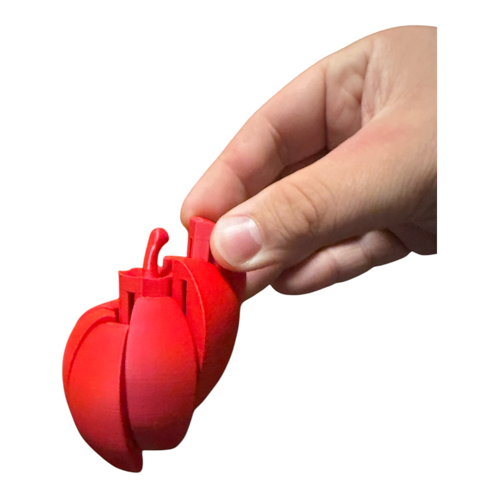 Driftwood 3D Printworks Apple Fidget Toy, colorful plastic stress-relief fidget toy with apple shape and textured surface