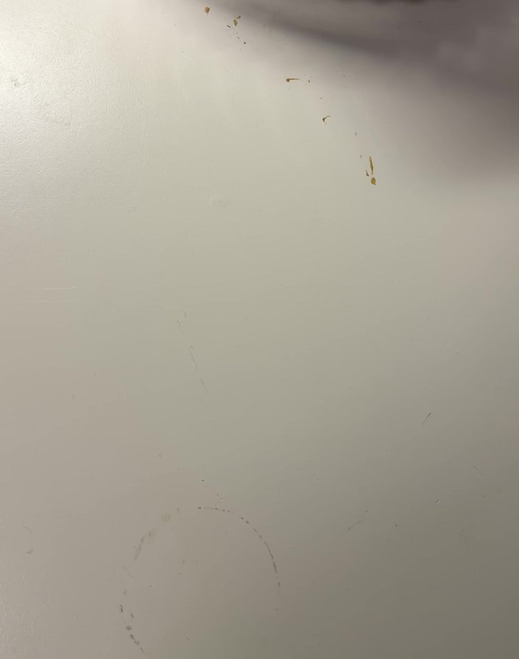 Morph Worm