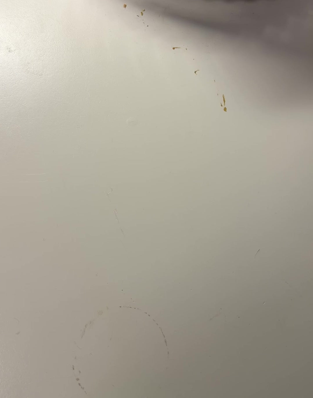 Morph Worm