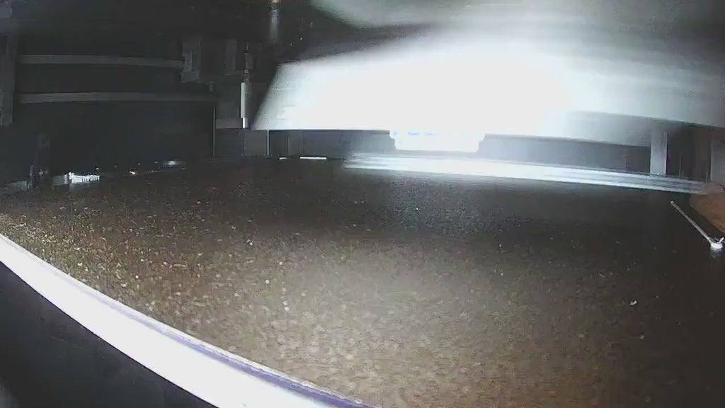 Wall-Mounted Mouse Ear Headband Holder